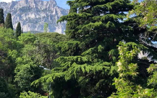 Мини Отель Кедр