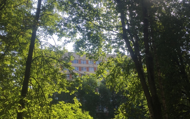 V Rayone Metro Lesnaya Flat