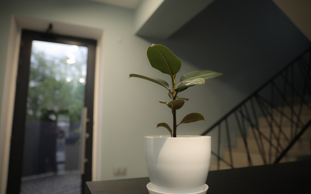 AM Hotel Boutique-hotel