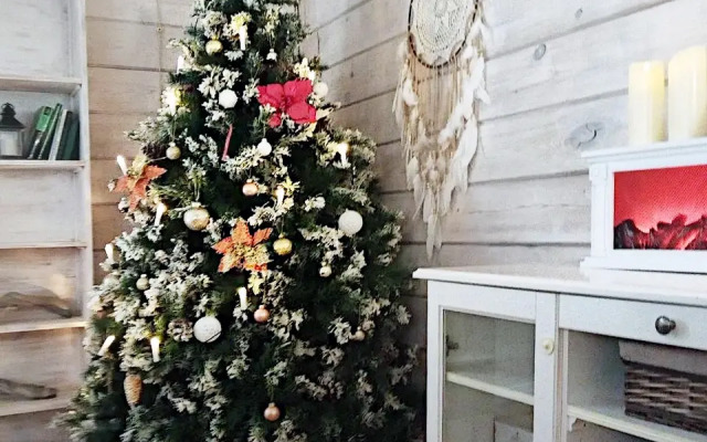 V Sosnovom Boru Guest House