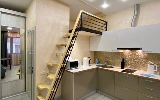 Studiya S Cherdakom Naprotiv Tts Gorki Gorod Flat