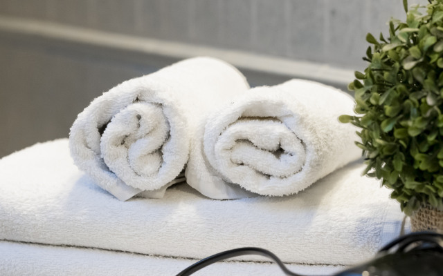 Апартаменты двухуровневые в тихом районе Амалиенау