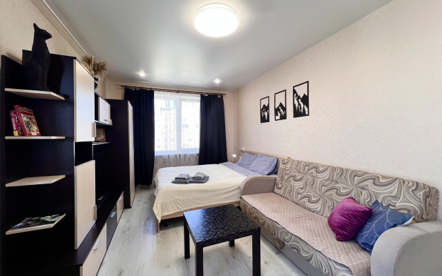 Апартаменты 51 с Шикарным Видом Сканди на Старостина, 33