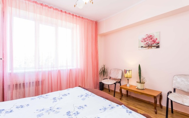 Na Prospekte Dostyk 119 Flat