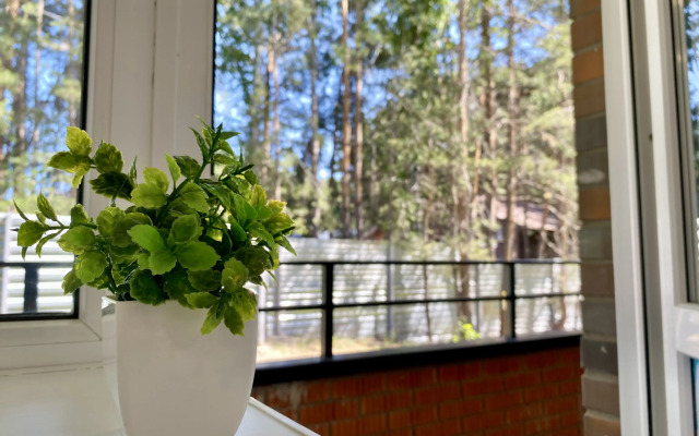 U Morya S Vidom Na Sosnovy Bor Apartments