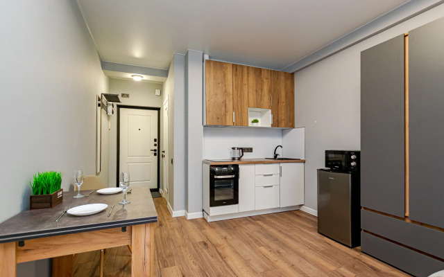Uyutnaya Sovremennaya Studiya U Tsirka Flat