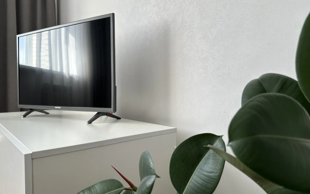 Uyutnaya Kvartira s Parkovkoy Flat
