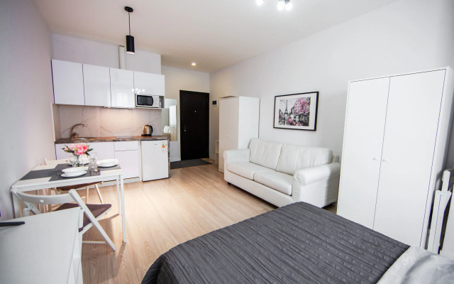 Апартаменты Первый Лиговский 271Б (3)