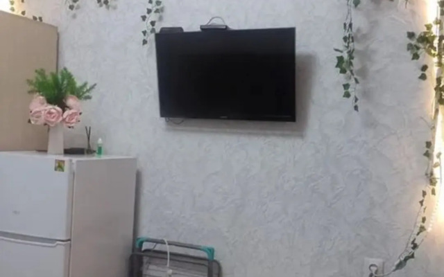 Квартира Уютная Студия напротив Нарзанной Галереи