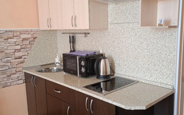 Avrora Dvukhmestnye (id 134) Apartment