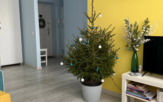 Квартира Сердце Бреста