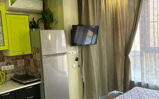 Studiya S Izumitelnym Vidom Na Gory I Reku Flat