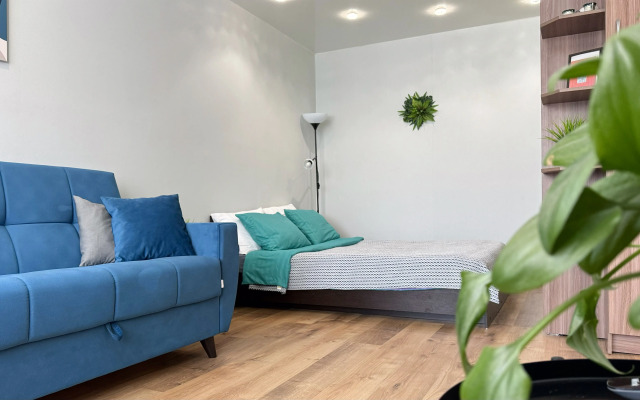 Квартира однокомнатная на Ломоносова 250