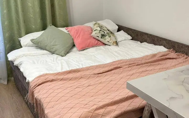 Studiya Okolo Ostrova Mechty I Parka Kolomenskoye Flat