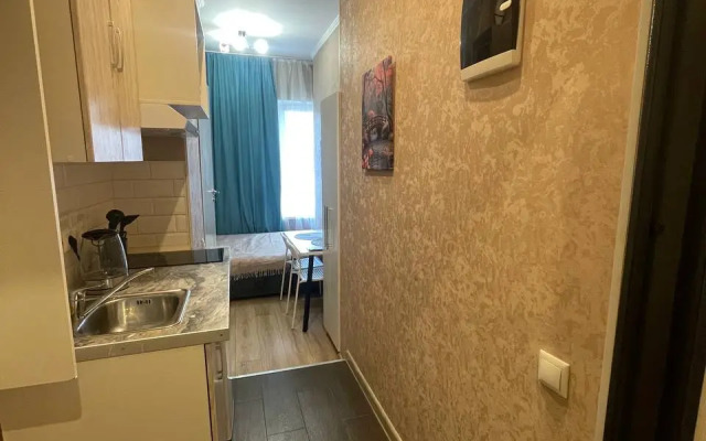 Апартаменты Уютная студия в ЖК Level Амурская-2