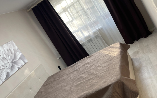 Квартира Красноармейский 106А