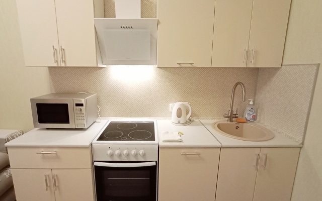 Квартира Увидеть Петербург у метро Лесная