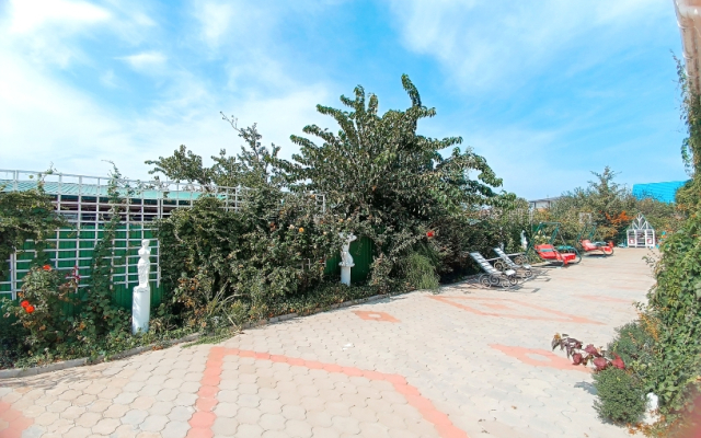Pansion Paradiz Guest House