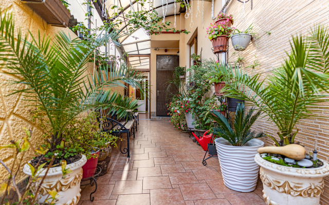 Dana House Guest house
