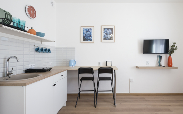 Studiya Layt V Poselke Pesochnom Flat