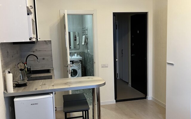 Malina Apartment Бесконтактное заселение студия в ЖК «Спутник»
