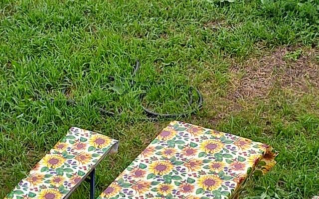 Меблированные комнаты Остров Счастья