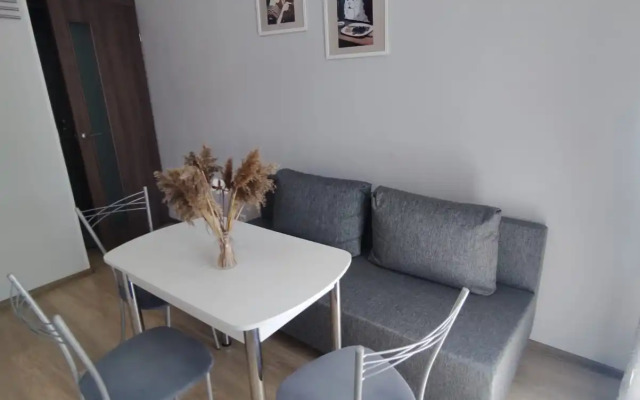 V ZHK Akadem park Flat
