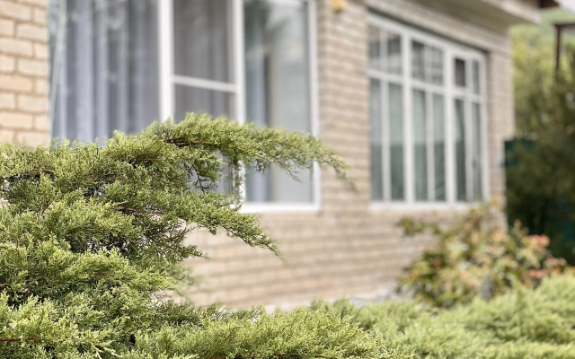 Апартаменты у горы Юца