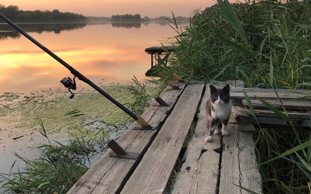 Severskiy Donets Private House