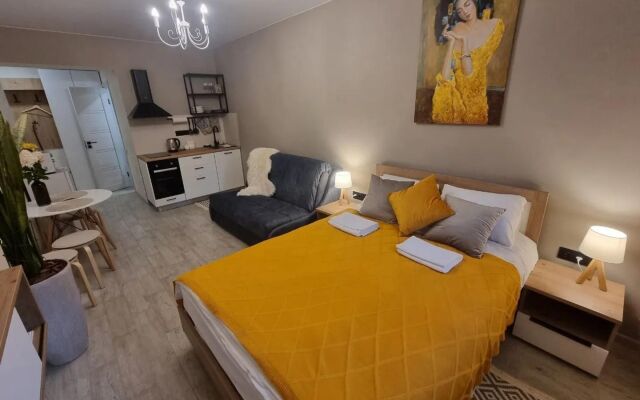 Na Bulvare Radischeva 29 Flat