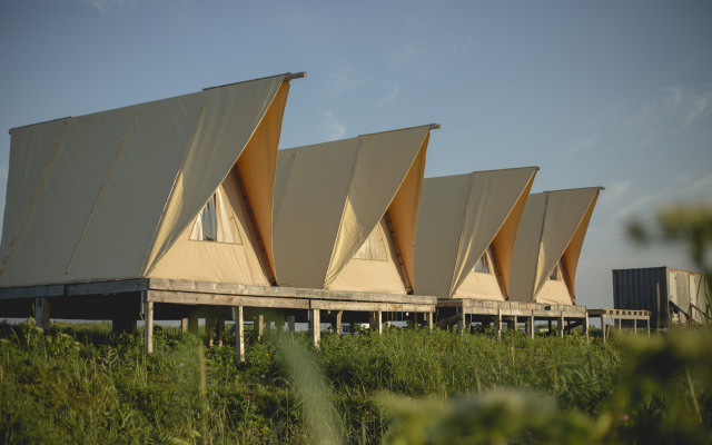 Shkola Syorfinga Snowave Kamchatka Glamping