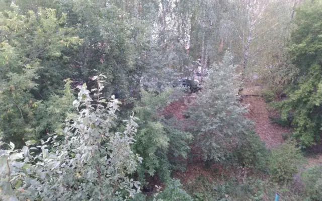 Na Prospekt Gagarina, 2-Ya Liniya, 4 Flat