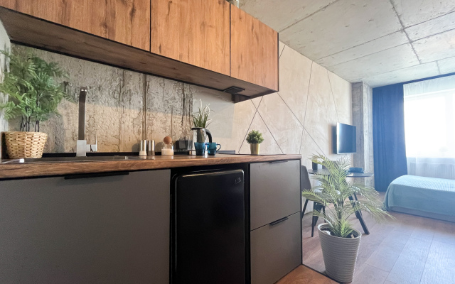 Апартаменты Студия Кинотеатр №322-2