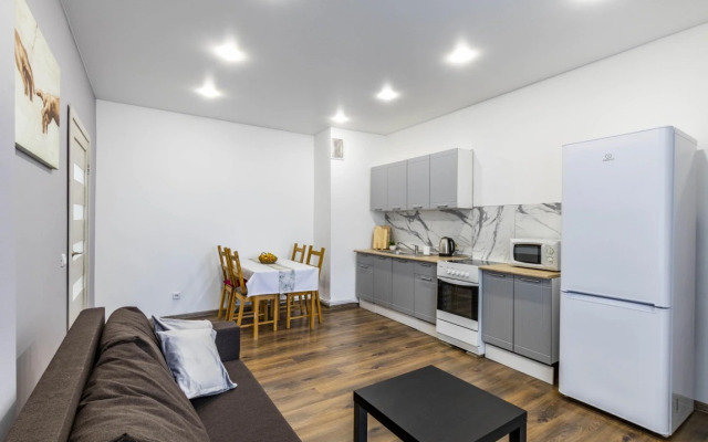 Evrotrekhkomnatnye Apartamenty Stepanenkov na Radishcheva 61