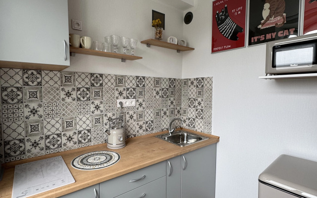 Uyutnaya yevrodvushka ryadom s Kremlem Flat