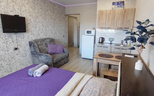 Квартира Студия на Пискунова