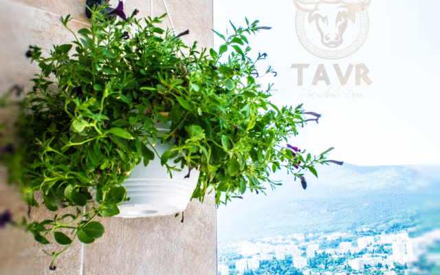 Tavr Guest House