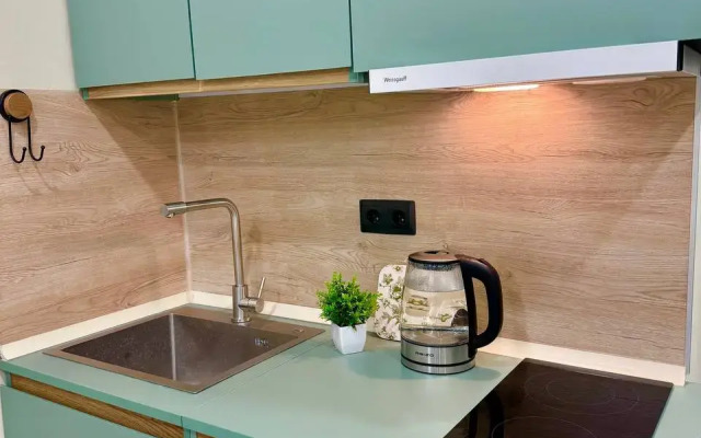 Kvartira-studiya 30 m2 Flat