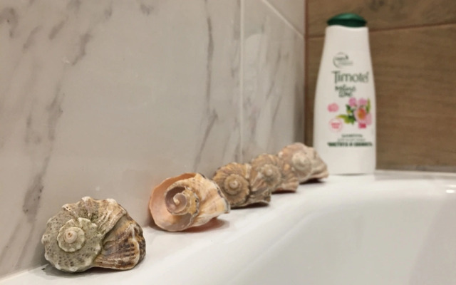 Квартира Райдас на Чапаева 61