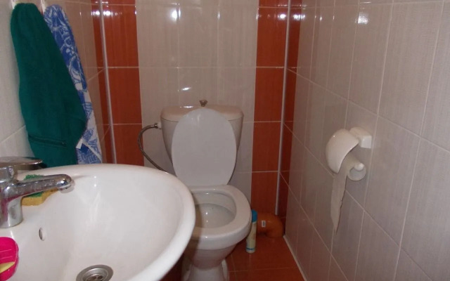 Частный дом на Леселидзе 61 (1)