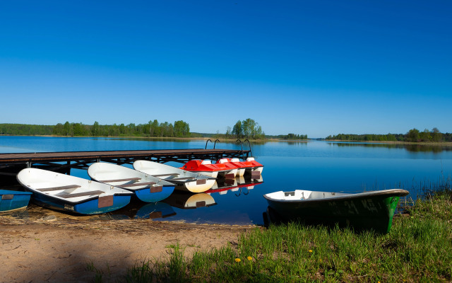 Отель  Эко-комплекс Новый Ковчег