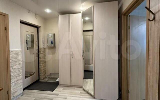 Cozy apartments on Dudina