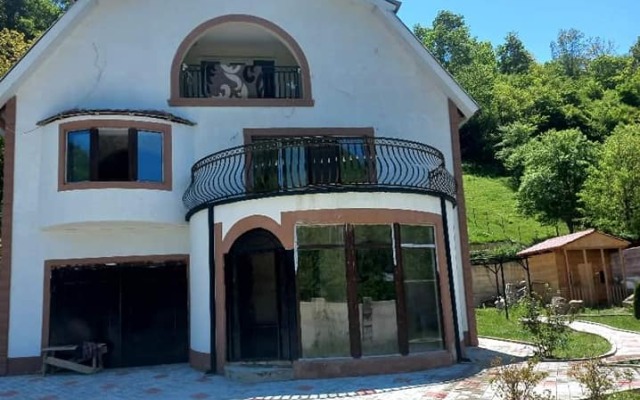 Dioscuria Borjomi Guest House