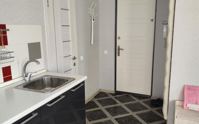 Kvartira Roskoshnaya Kvartira Na Kalinina Flat