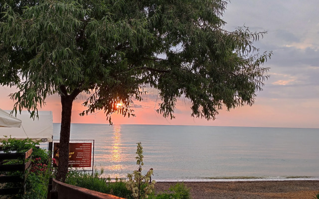 Отель Чайка