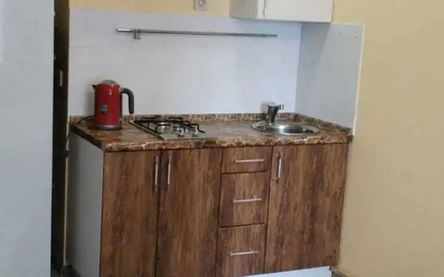 Na Dobroselskoy Ulitse 188Bk1 Flat