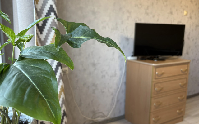 Квартира на Калинина 24