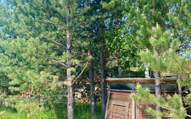 Гостевой дом Евразия