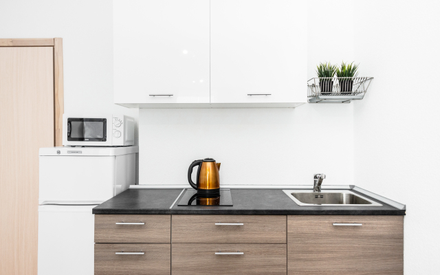 Апартаменты Pashk Inn Artek