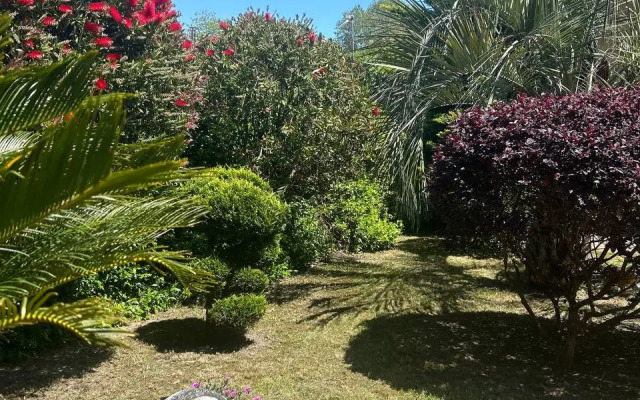 Apelsin Guest House